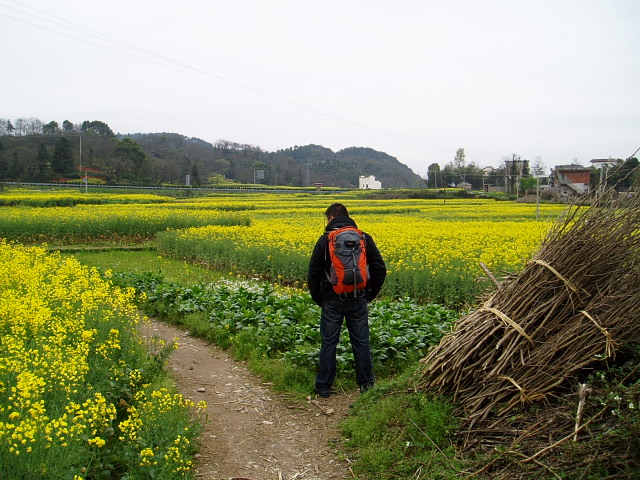 p1011052.jpg