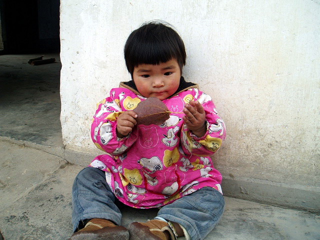 p1011083.jpg