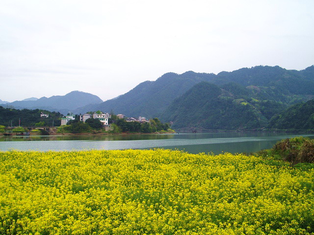p1011093.jpg