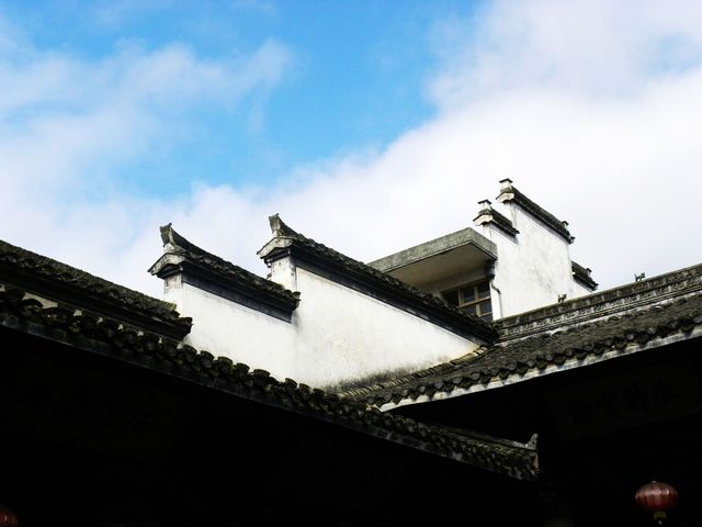° 225.jpg