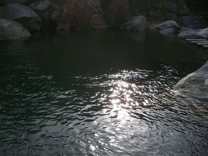 neo_img_100_9595.jpg