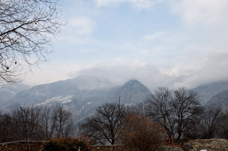 dsc_0466׿Ӱ.jpg