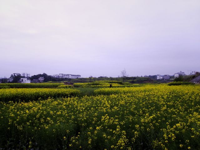 ° 060.jpg