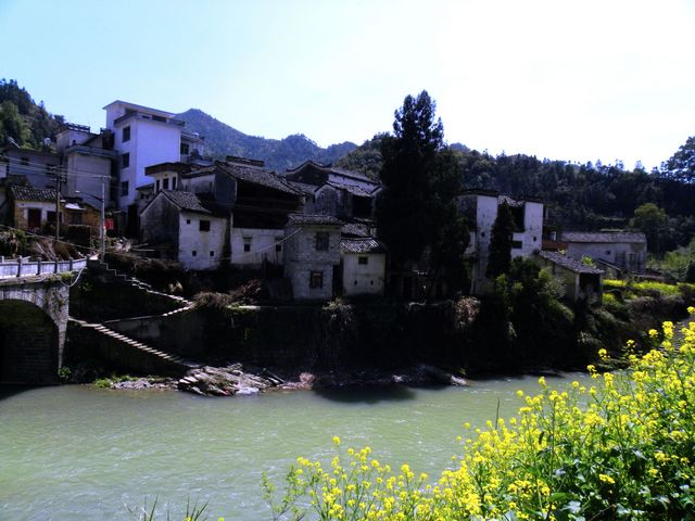 ° 305.jpg