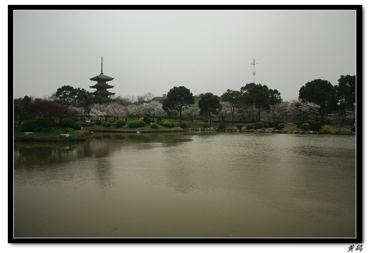 ӣ֮071.jpg