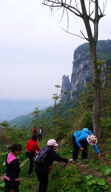 p1060347.jpg