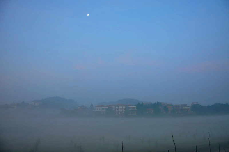 dsc_0295.jpg