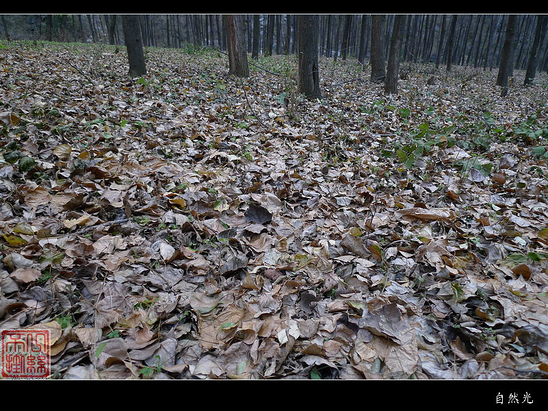 l1070215.jpg