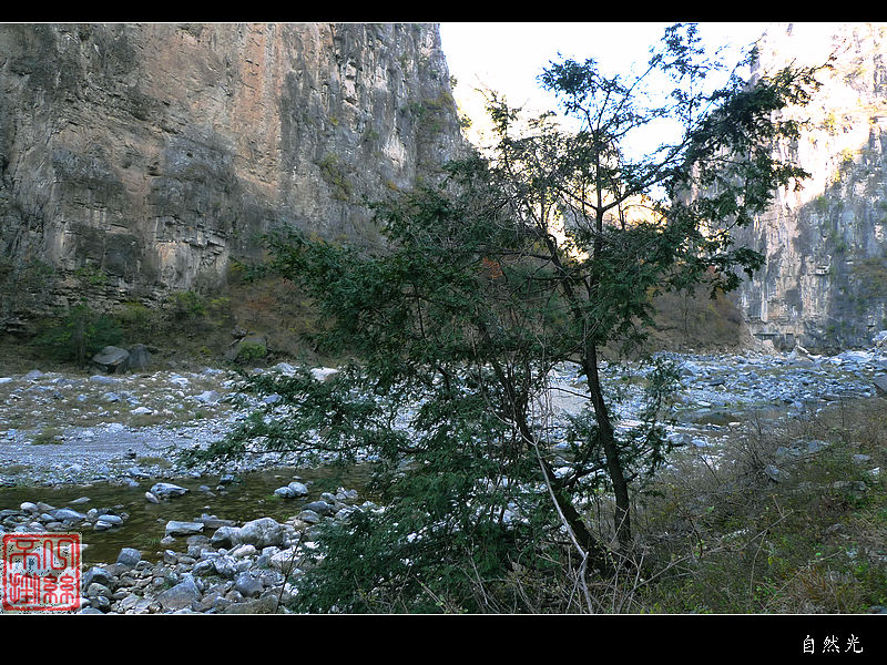 l1070230.jpg