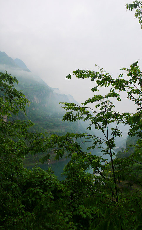 p1060615.jpg