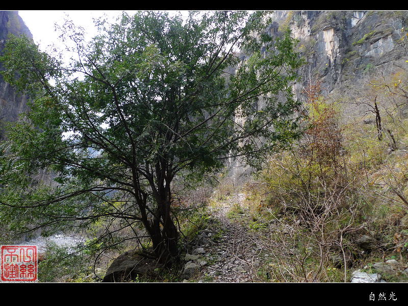 l1070302.jpg