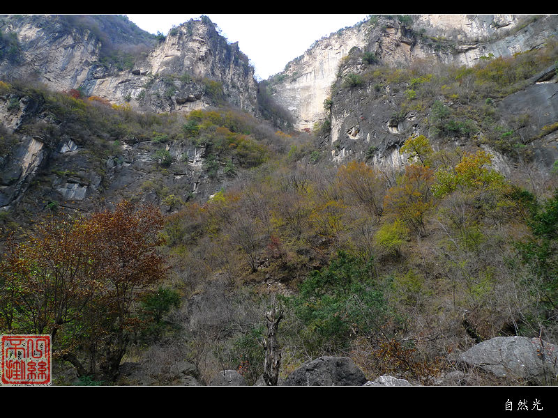 l1070305.jpg
