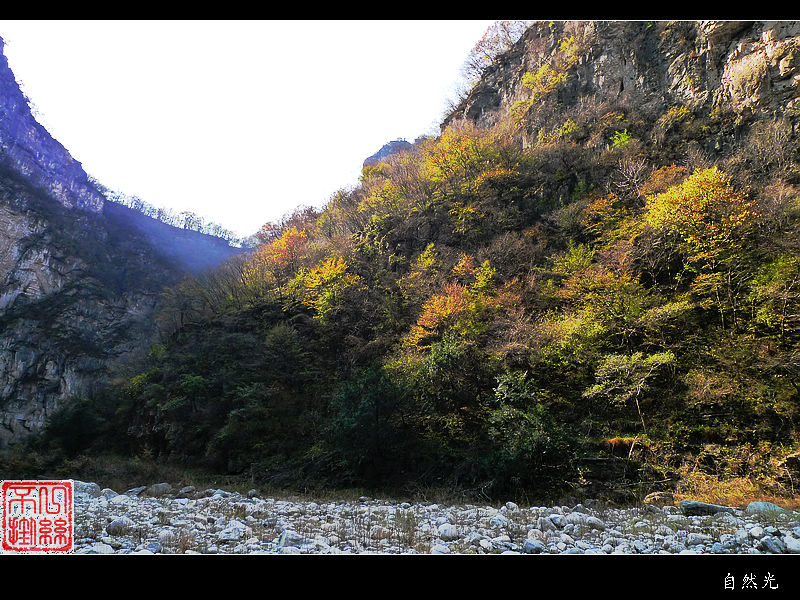 l1070313.jpg
