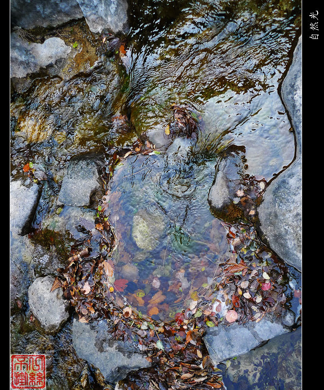 l1070317.jpg