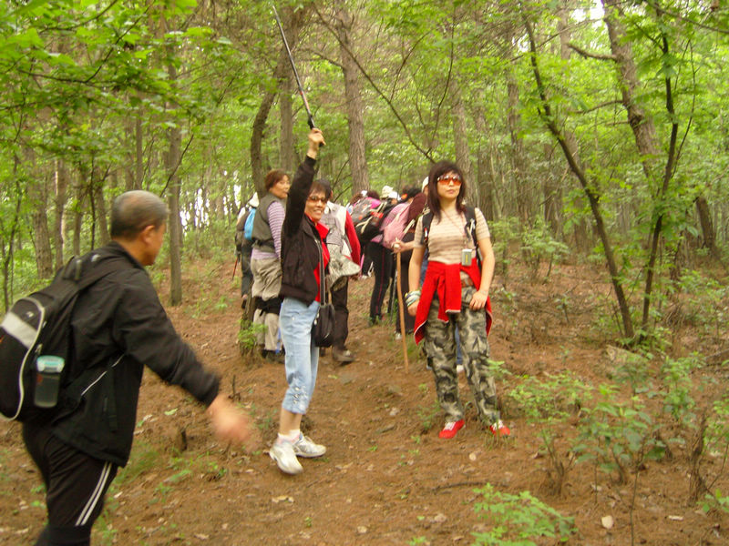  snc10024.jpg