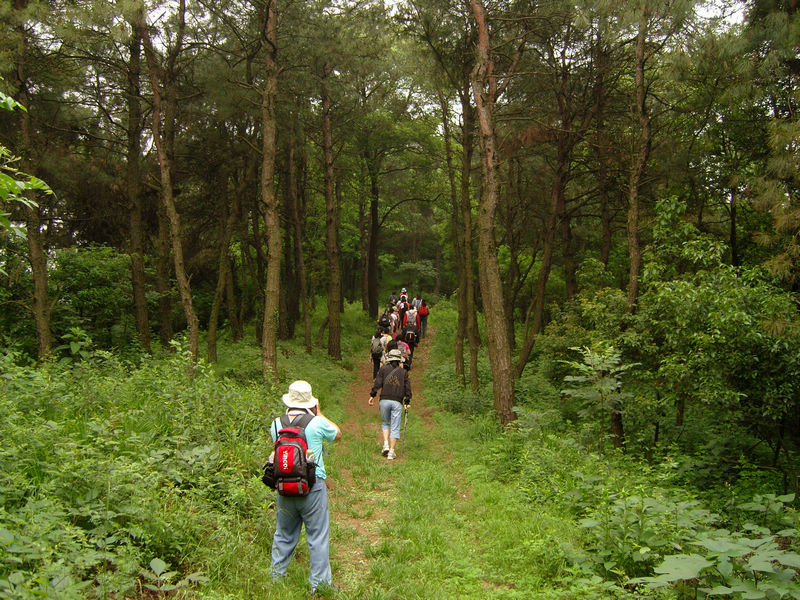  snc10032.jpg