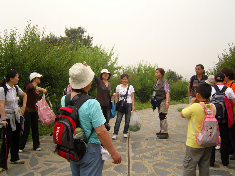  snc10041.jpg