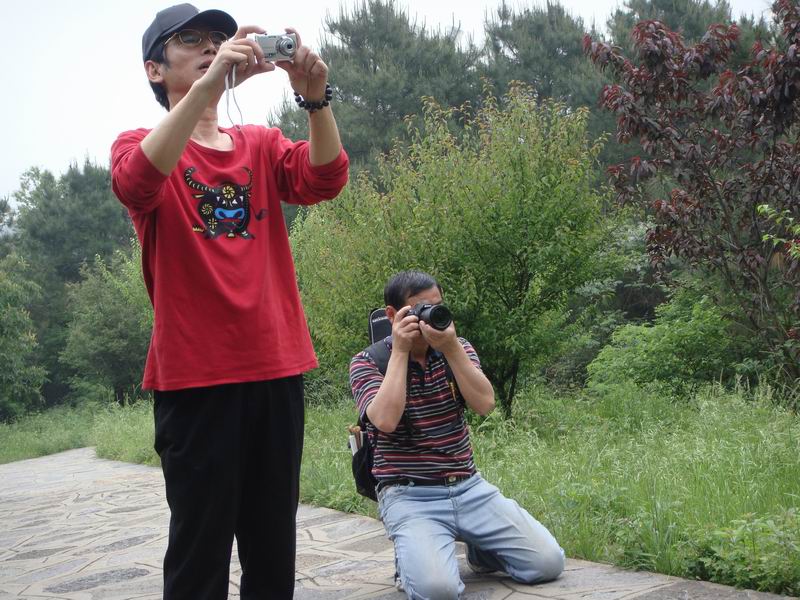dsc07337.jpg