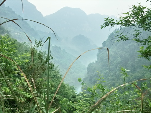dscf3853.jpg