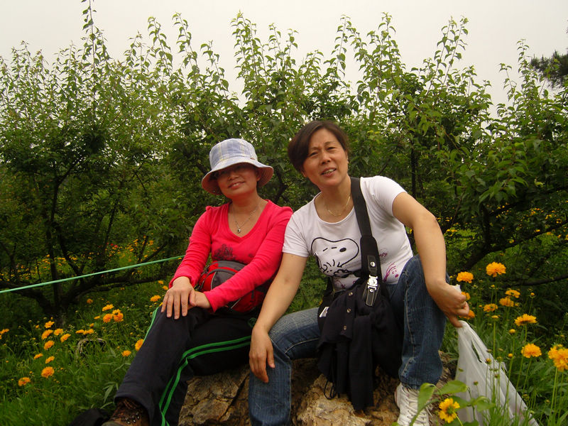  snc10065.jpg