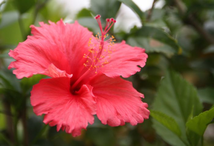 img_3280.jpg
