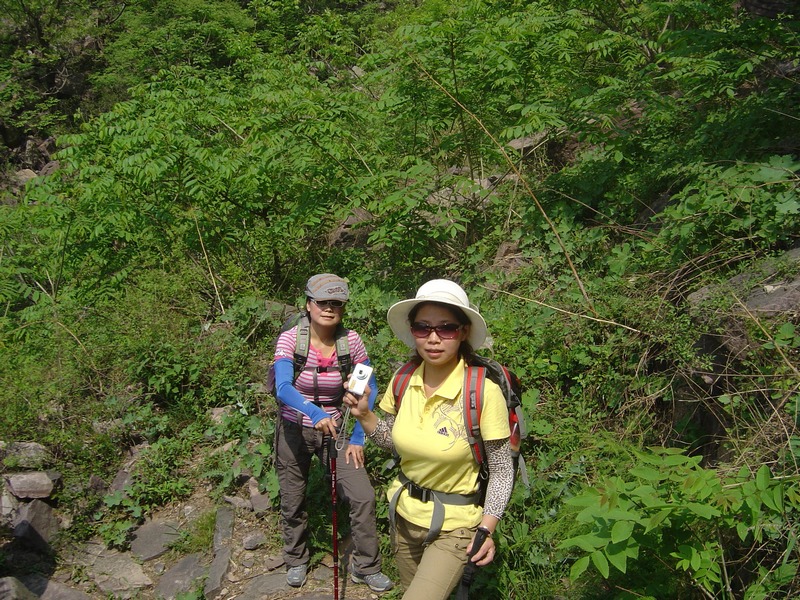201051810512155297.jpg