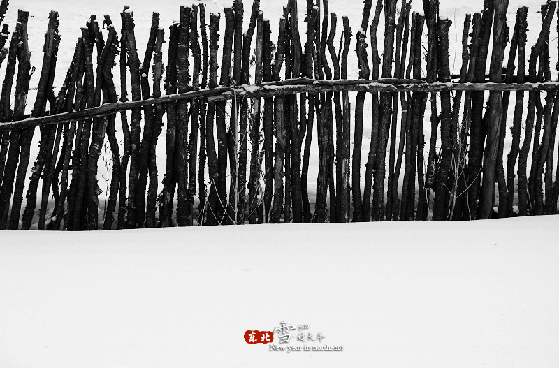 ֳ (9).jpg