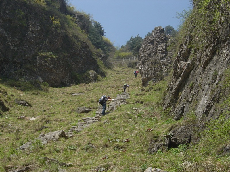 dsc03584.jpg