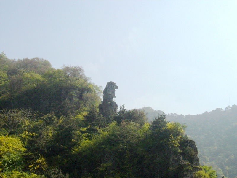 dsc03600.jpg