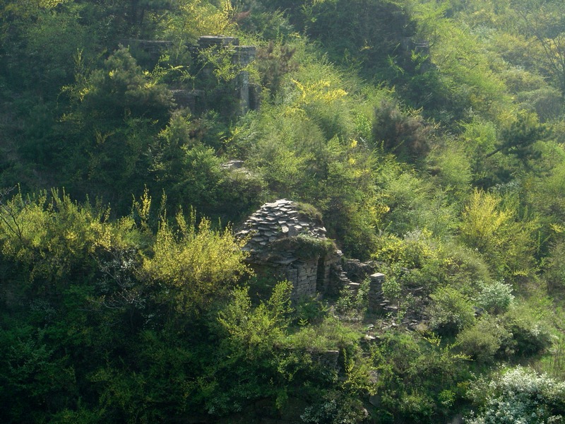 dsc03602.jpg