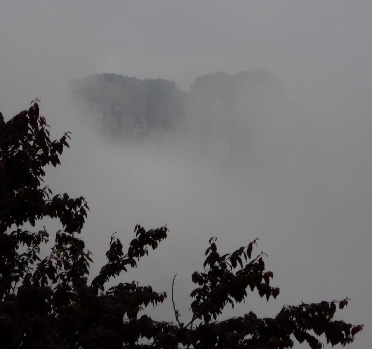 dsc019011.jpg