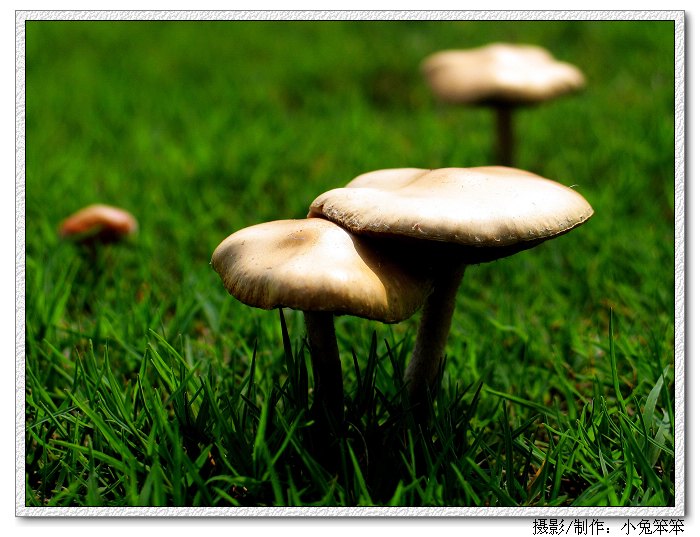 Ƭ 009_1.jpg