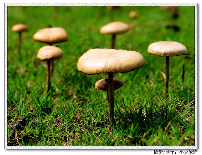 Ƭ 013_1.jpg