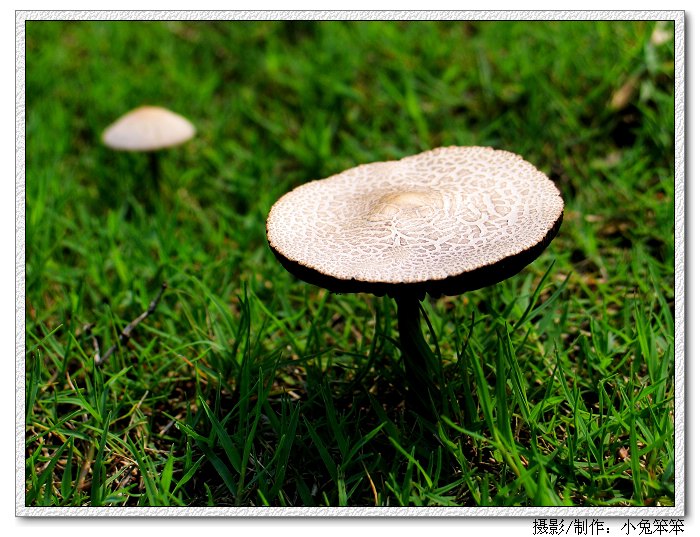 Ƭ 016_1.jpg