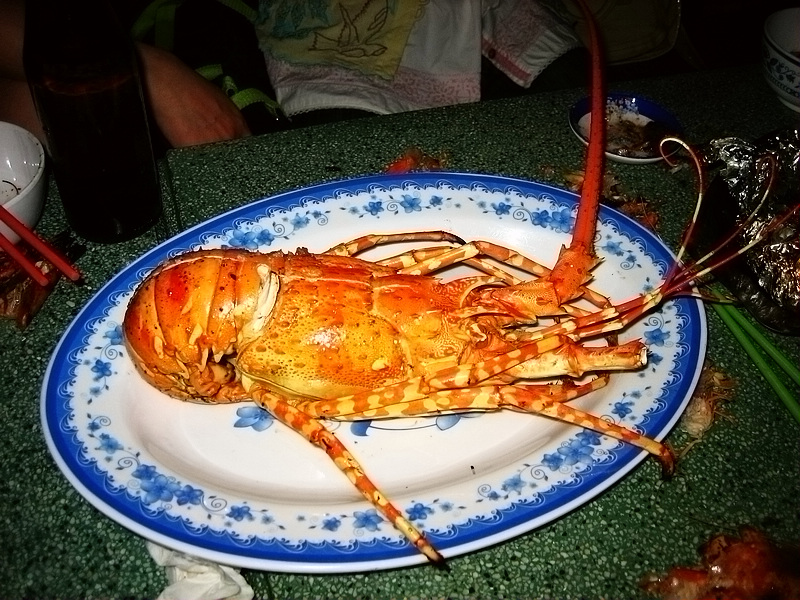 24.jpg