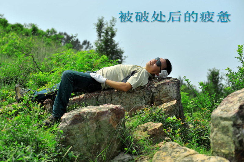Ƭ 008.jpg