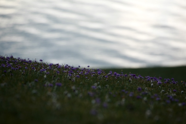 img_4876.jpg