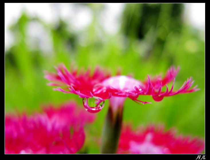 img_0664a.jpg