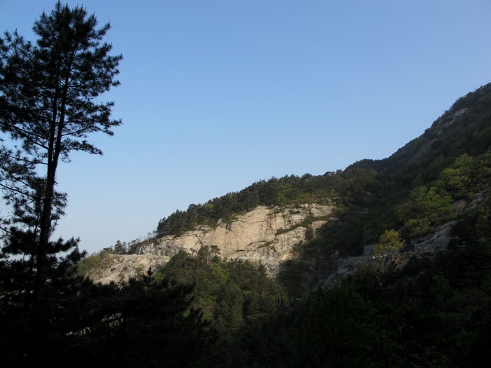 yuen 010.jpg