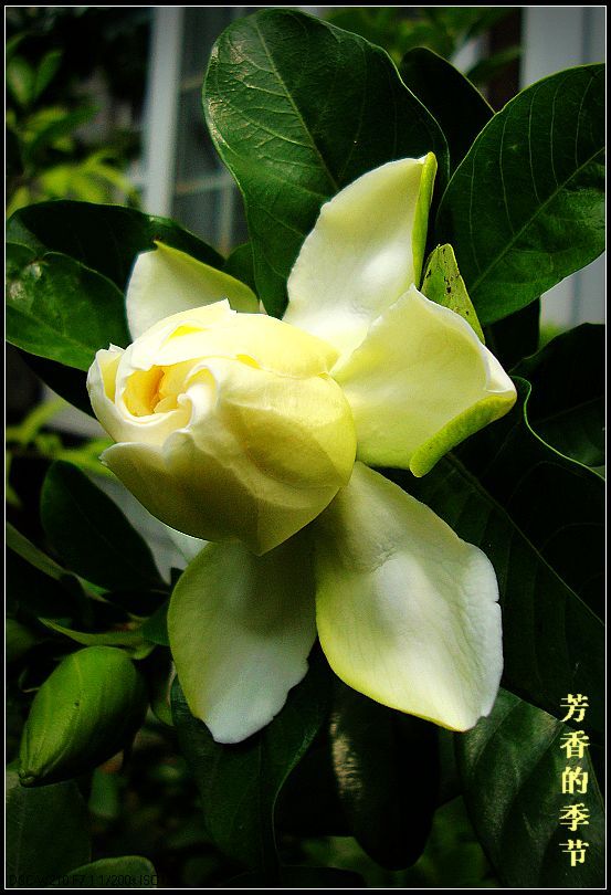 dsc04425-1.jpg