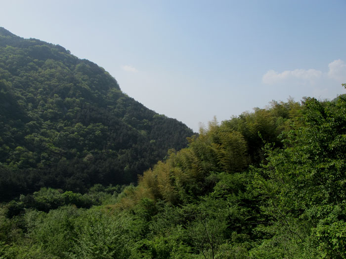 yuen 098.jpg