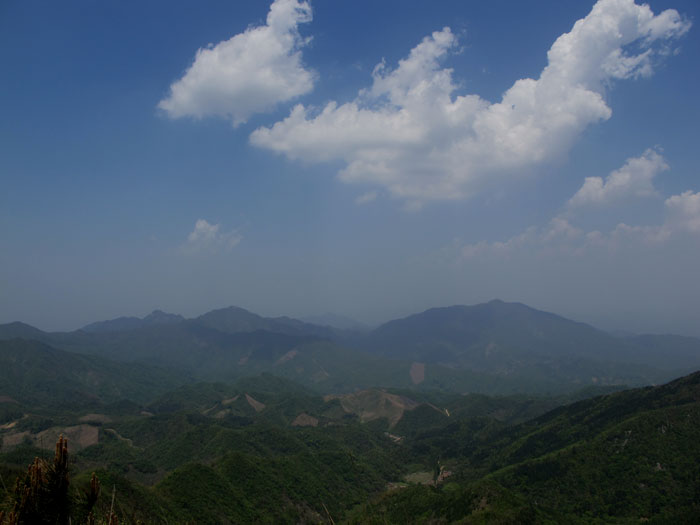 yuen 081.jpg