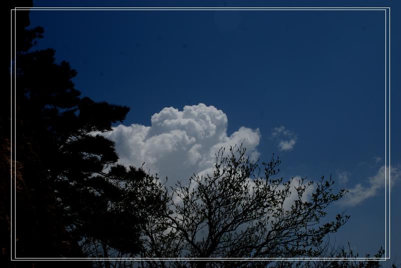 dsc_0919.jpg