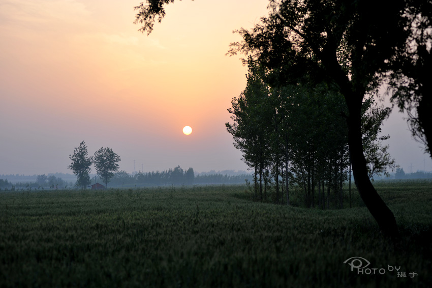 dxh_0558.jpg