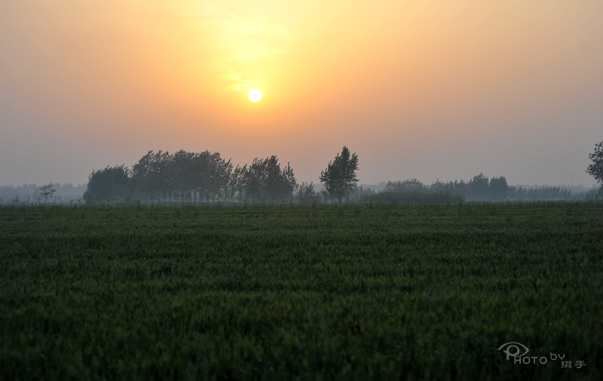 dxh_0539.jpg