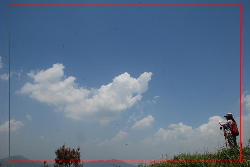 dsc_0980_neo_img.jpg