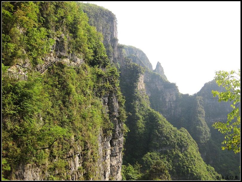 img001.jpg