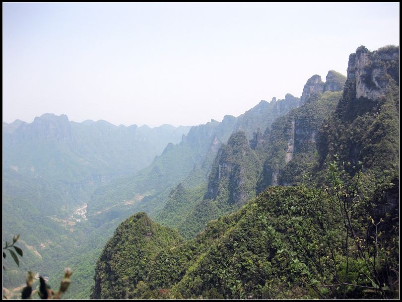 img005.jpg