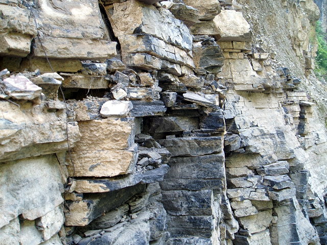 p1011235.jpg