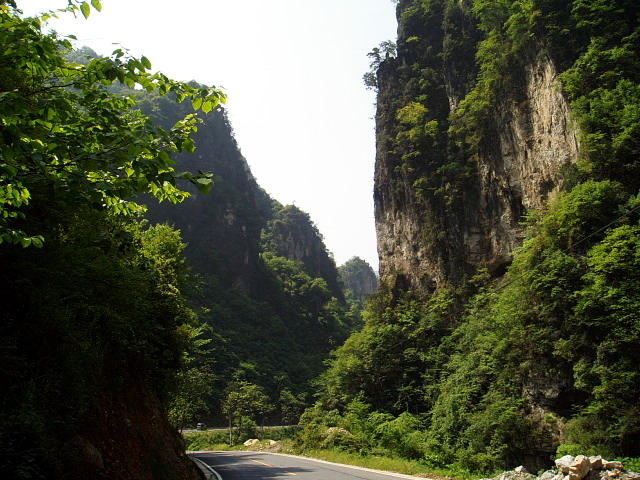 p1011238.jpg